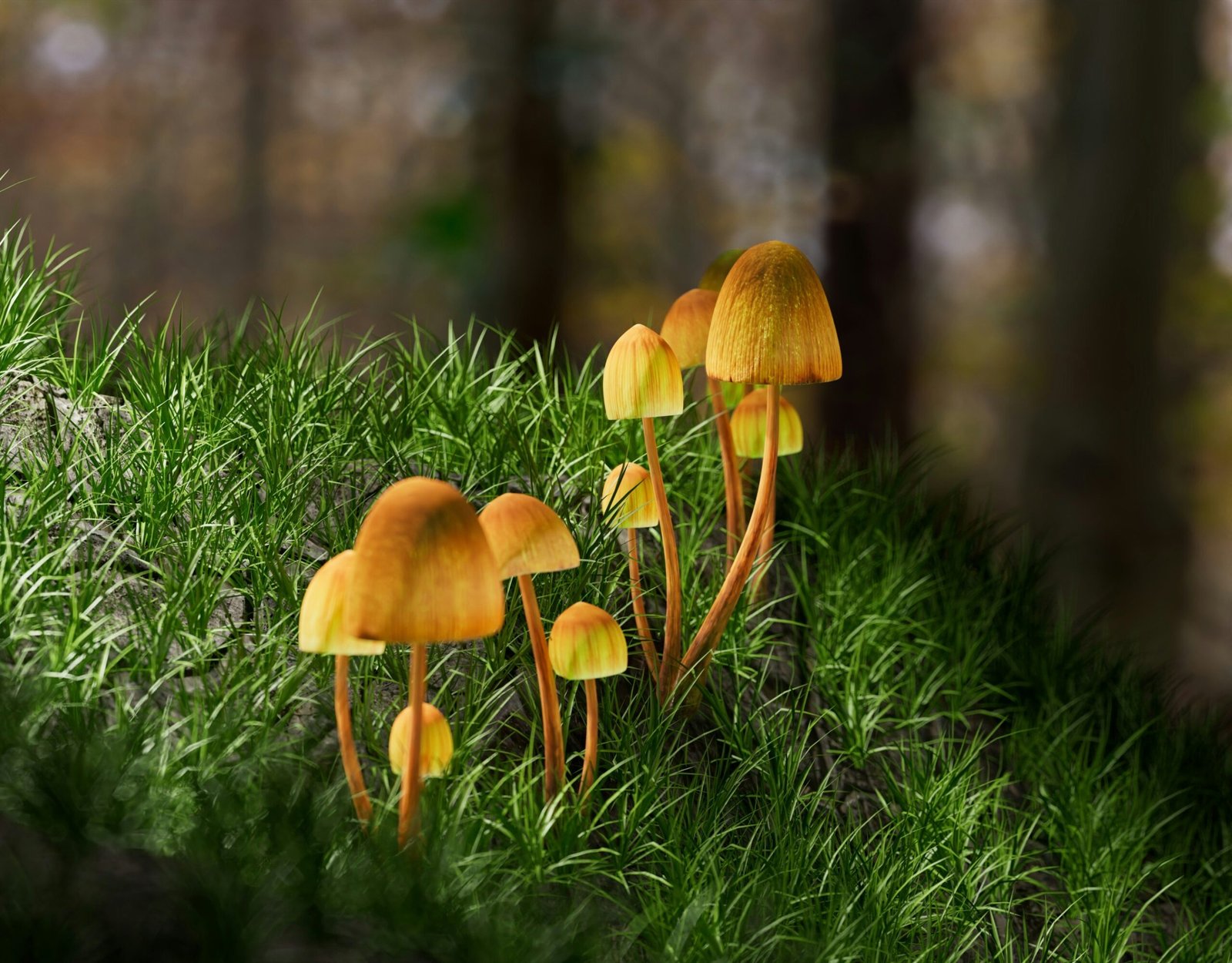 a group of yellow mushrooms growing in the grass