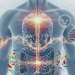 A scientific illustration showing the gut-brain connection. The center of the photo is a transparent representation of a human torso, revealing the gut and brain connected by a glowing neural network. Colorful microorganisms from the gut emit light particles onto the neural pathway leading to the brain. On the left side, there's a plate of healthy food (like yogurt, leafy greens, and legumes), while on the right, there's a smiling face icon near the brain, indicating a positive impact on mood.