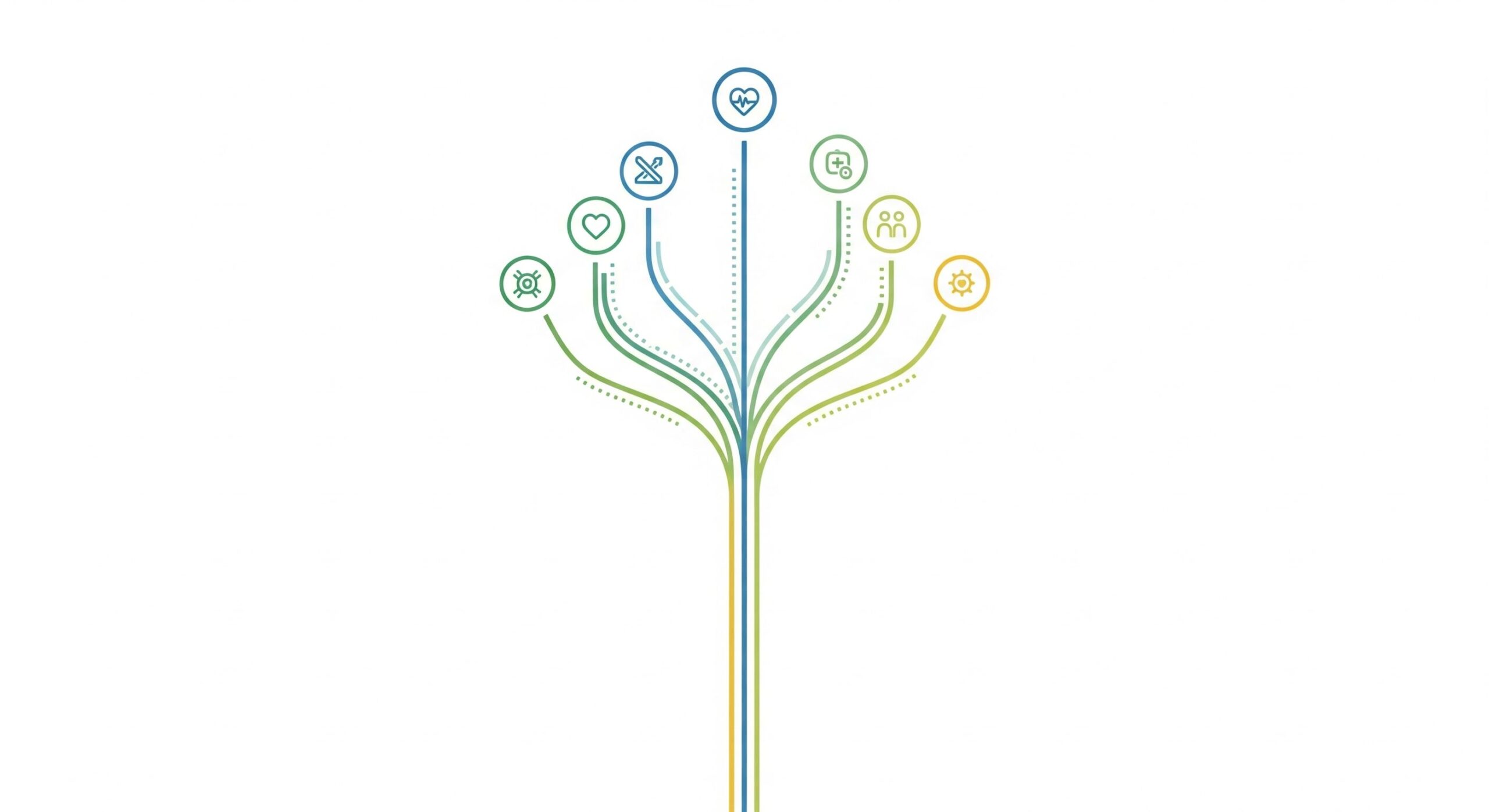 An illustration of branching paths, showing specialized program options.